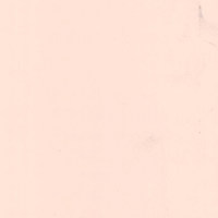 Пленка Пудра бисквит 55379