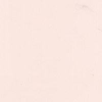 Пленка Пудра миндаль 55375