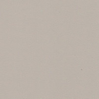 Пленка Монолит слэйт 1103