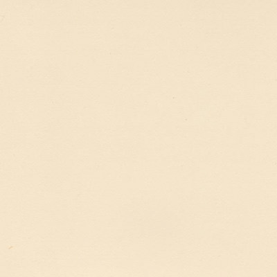 Пленка Безе шагрень 0541