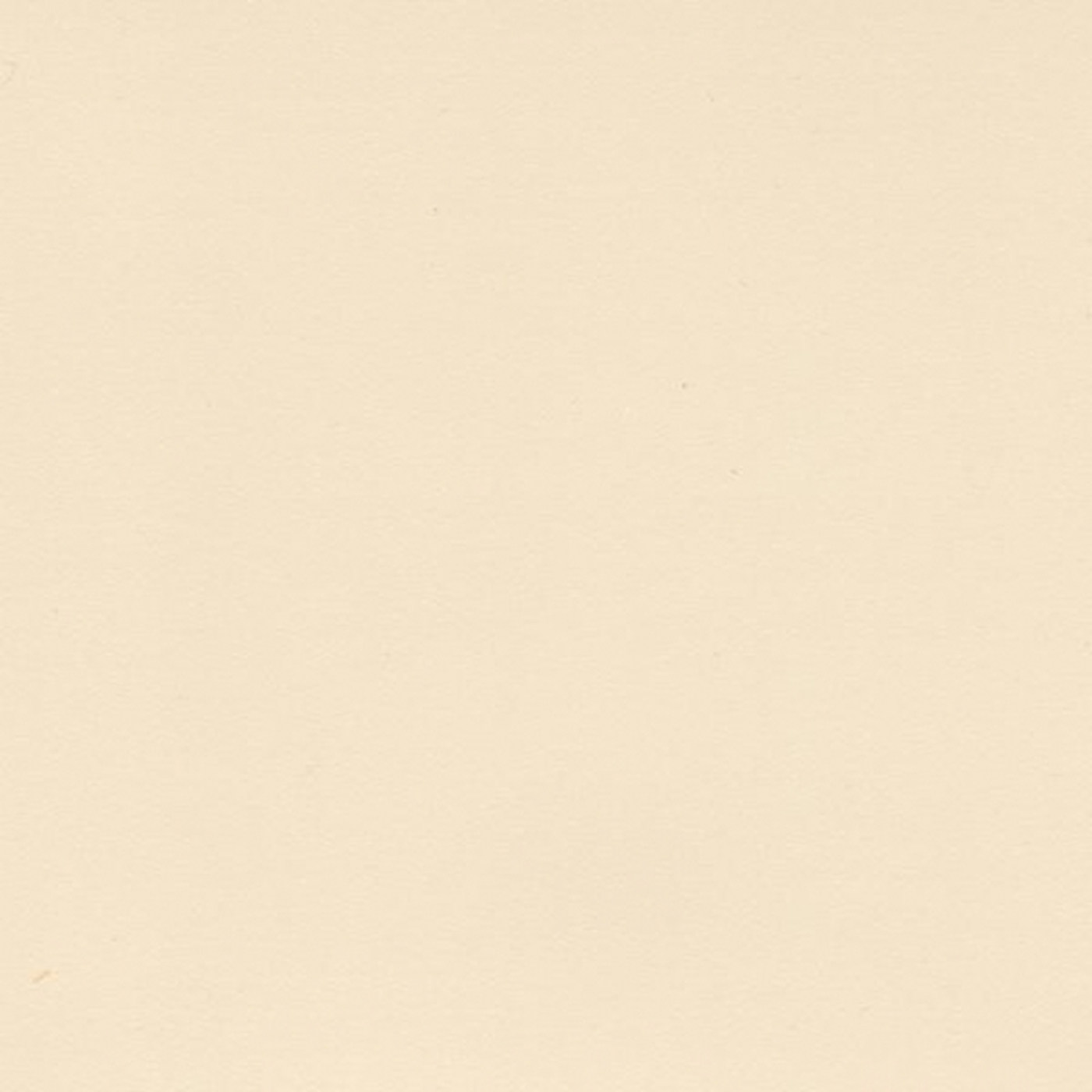 Пленка Безе шагрень 0541