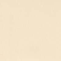 Пленка Безе шагрень 0541