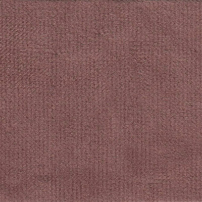 Аспендос пале лавандер