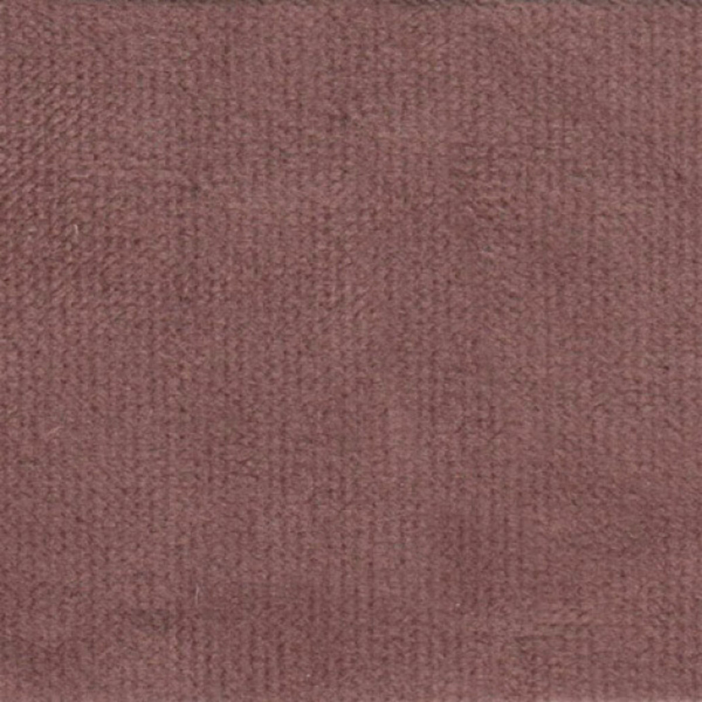 Аспендос пале лавандер