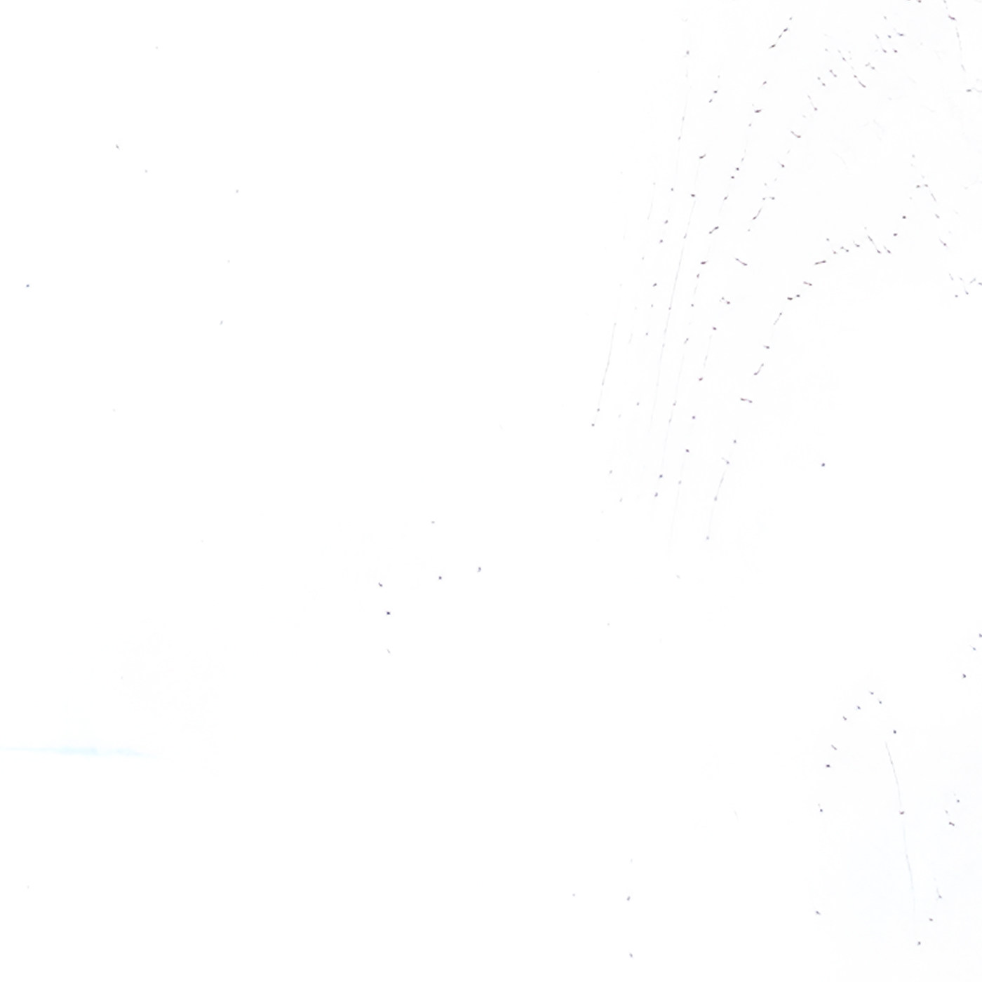 Пленка ВудТангент айс 5541