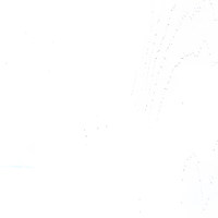 Пленка ВудТангент айс 5541