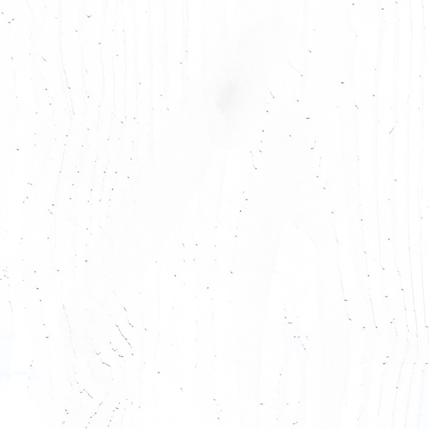 Пленка ВудТангент белый 5540