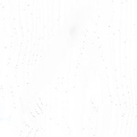 Пленка ВудТангент белый 5540