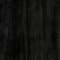 Пленка Манзония черная 0528757Y