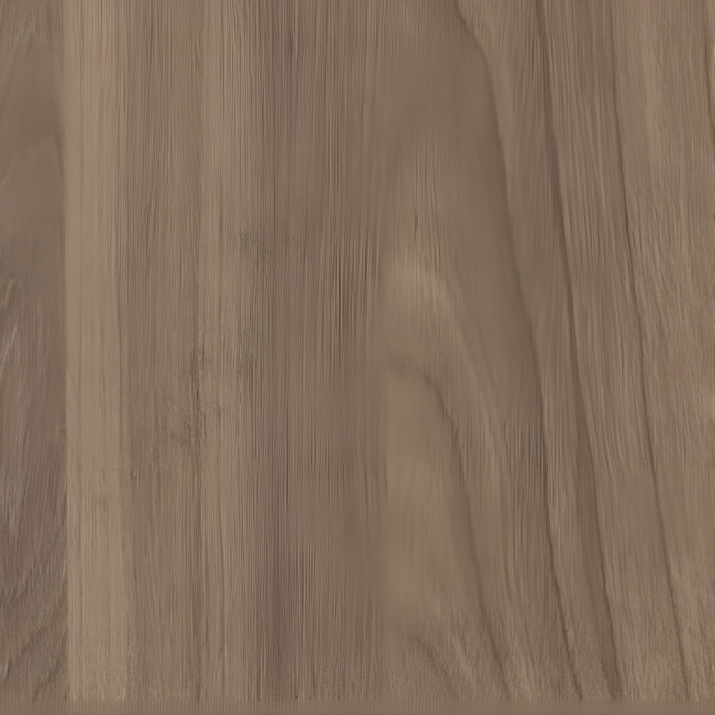 Пленка Ильм европейский 8192