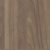 Пленка Ильм европейский 8192