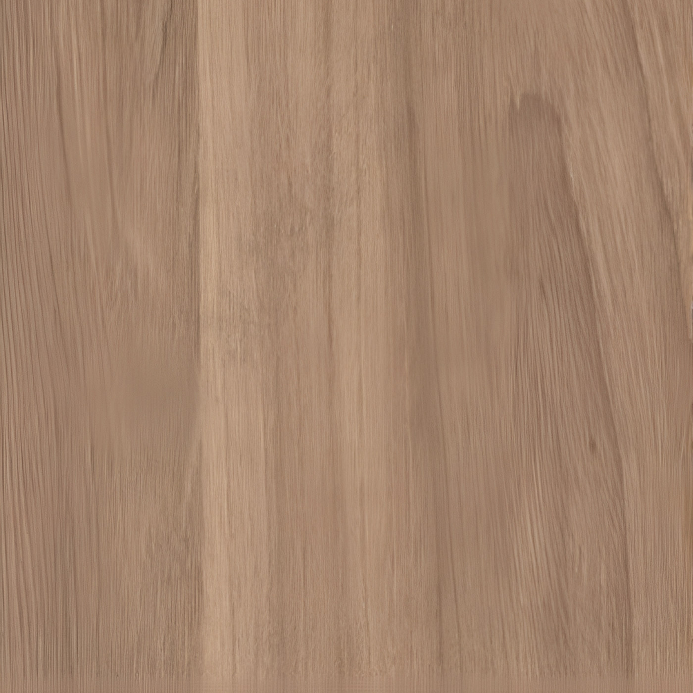 Пленка Ильм американский 8195