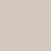 Пленка Монолит глоу 1107