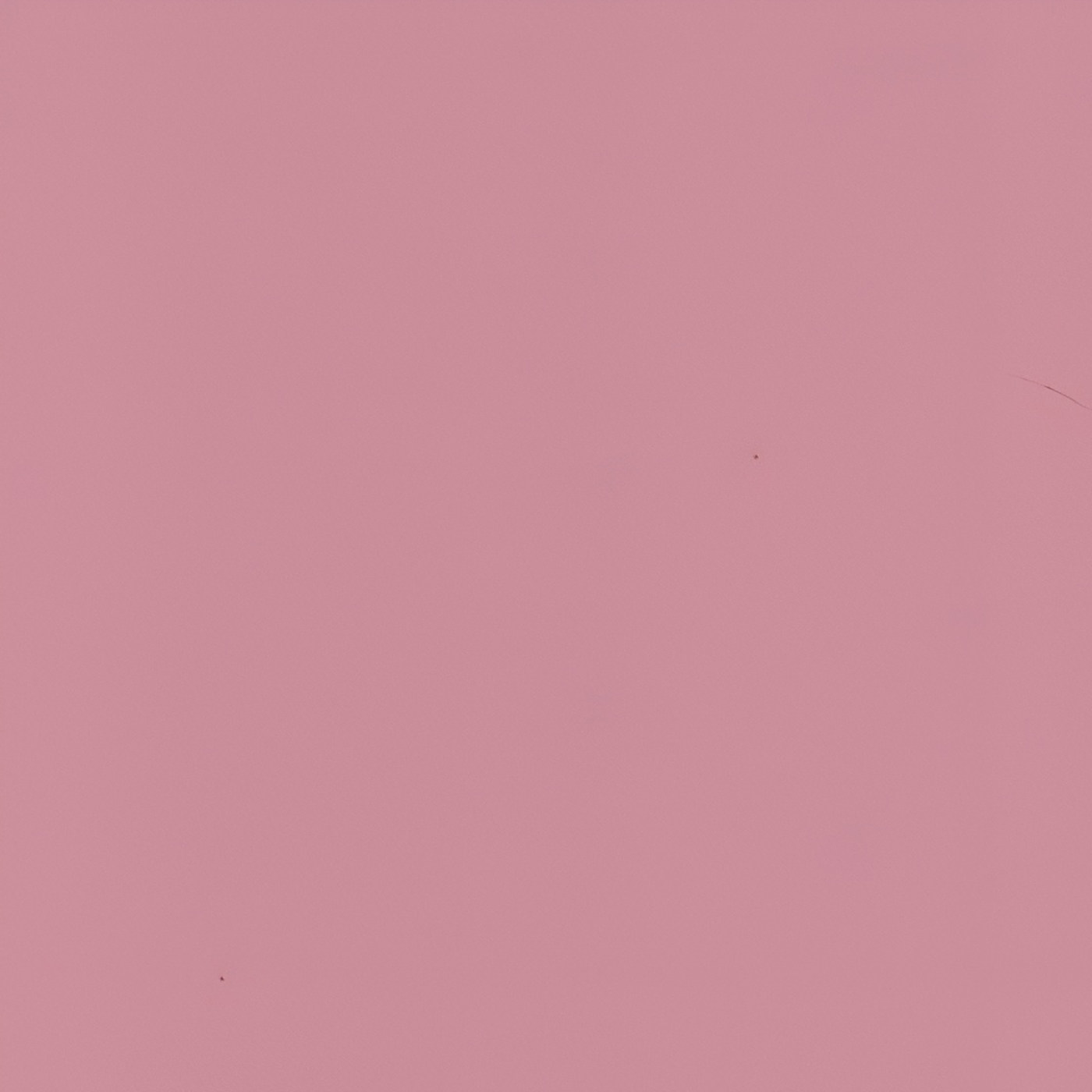 Пленка Пудра протея 55391