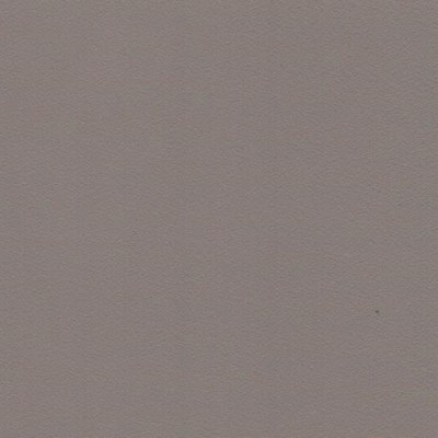 Пленка Монолит клэй 1102