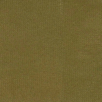 Аспендос олив