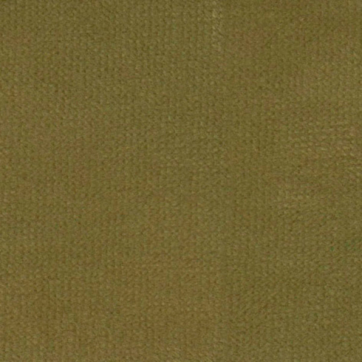 Аспендос олив