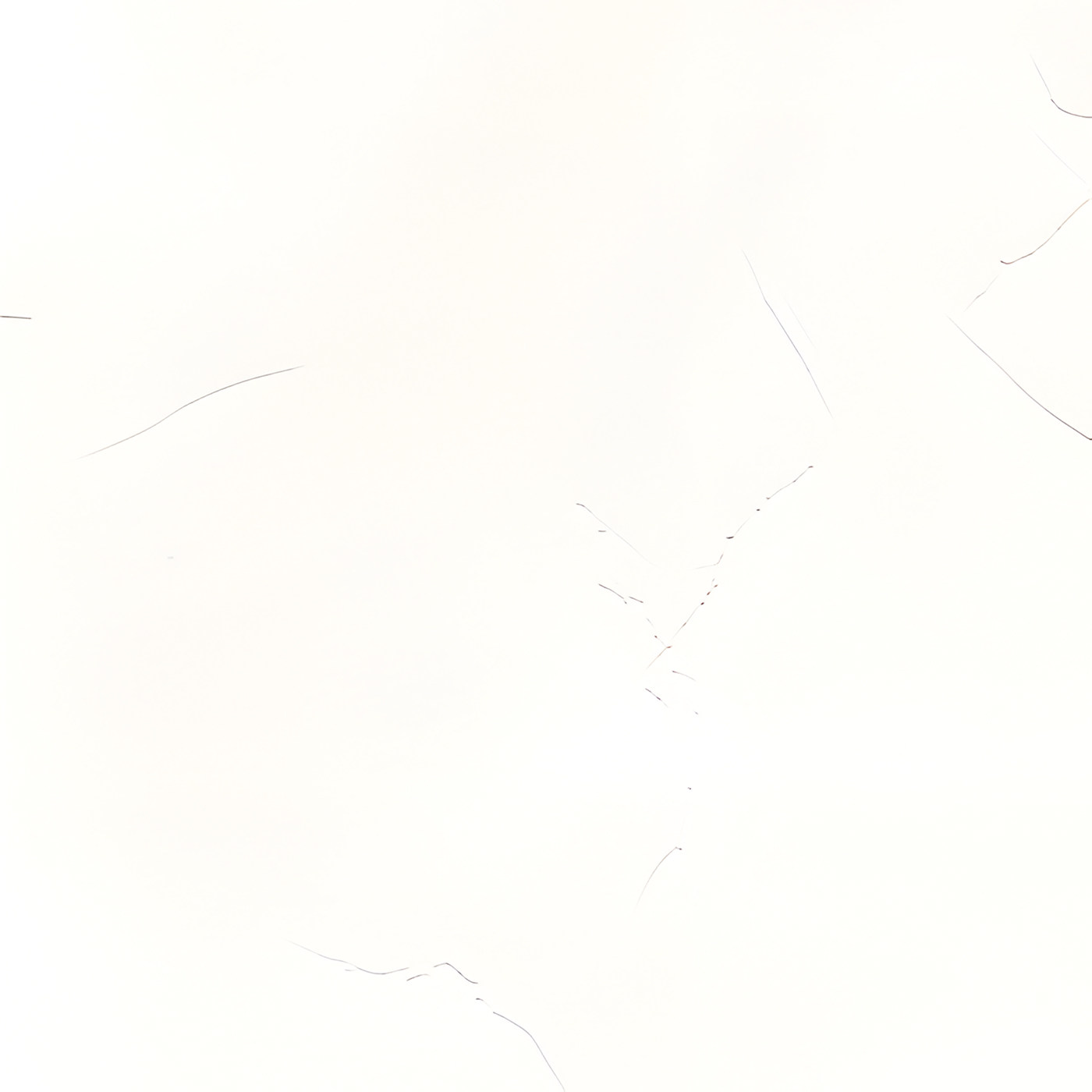 Пленка Венеция милк 5153