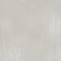 Пленка Палм маус 6710