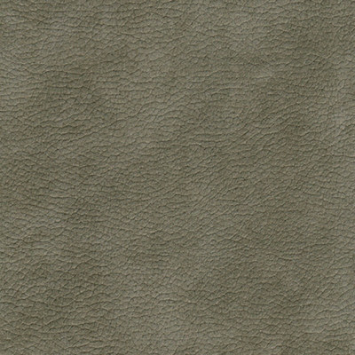 Вип велютти олив