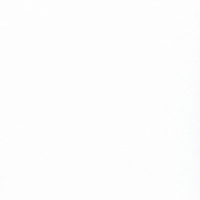 Пленка Фон белый 1508