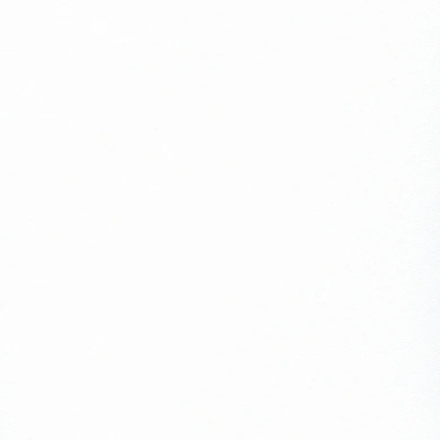 Пленка Фон белый 1508