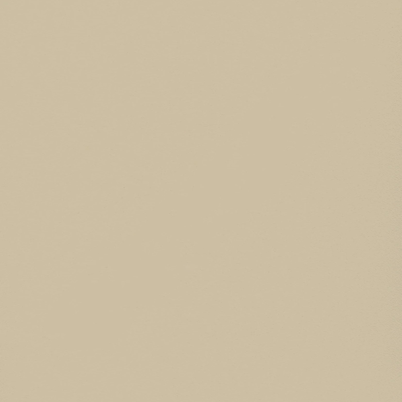 Пленка Фон слэйт СС 1203