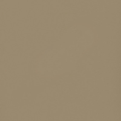 Пленка Фон клэй 1202