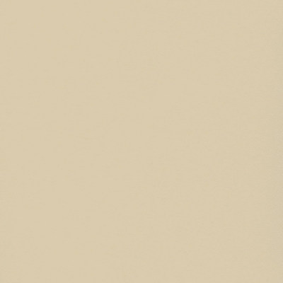 Пленка Фон глоу 1207