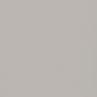 Пленка Фон парамаунт 1229