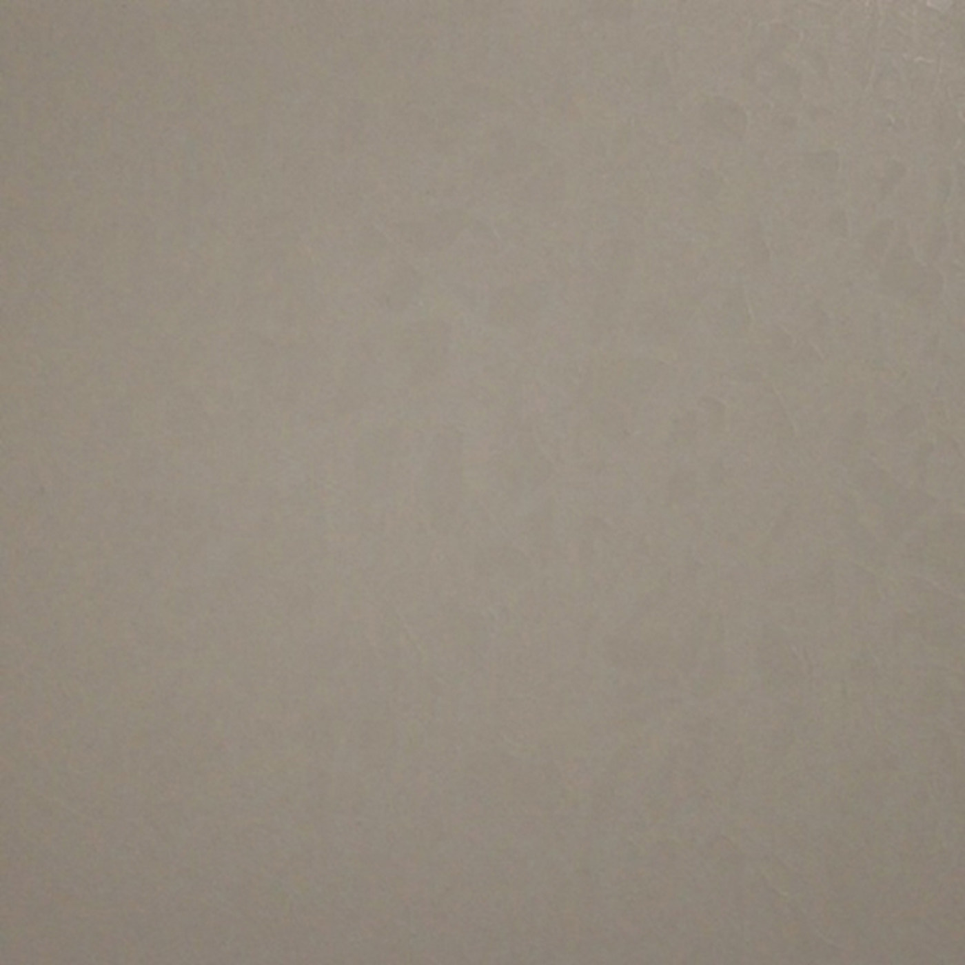 Пленка Фрост белый 05031