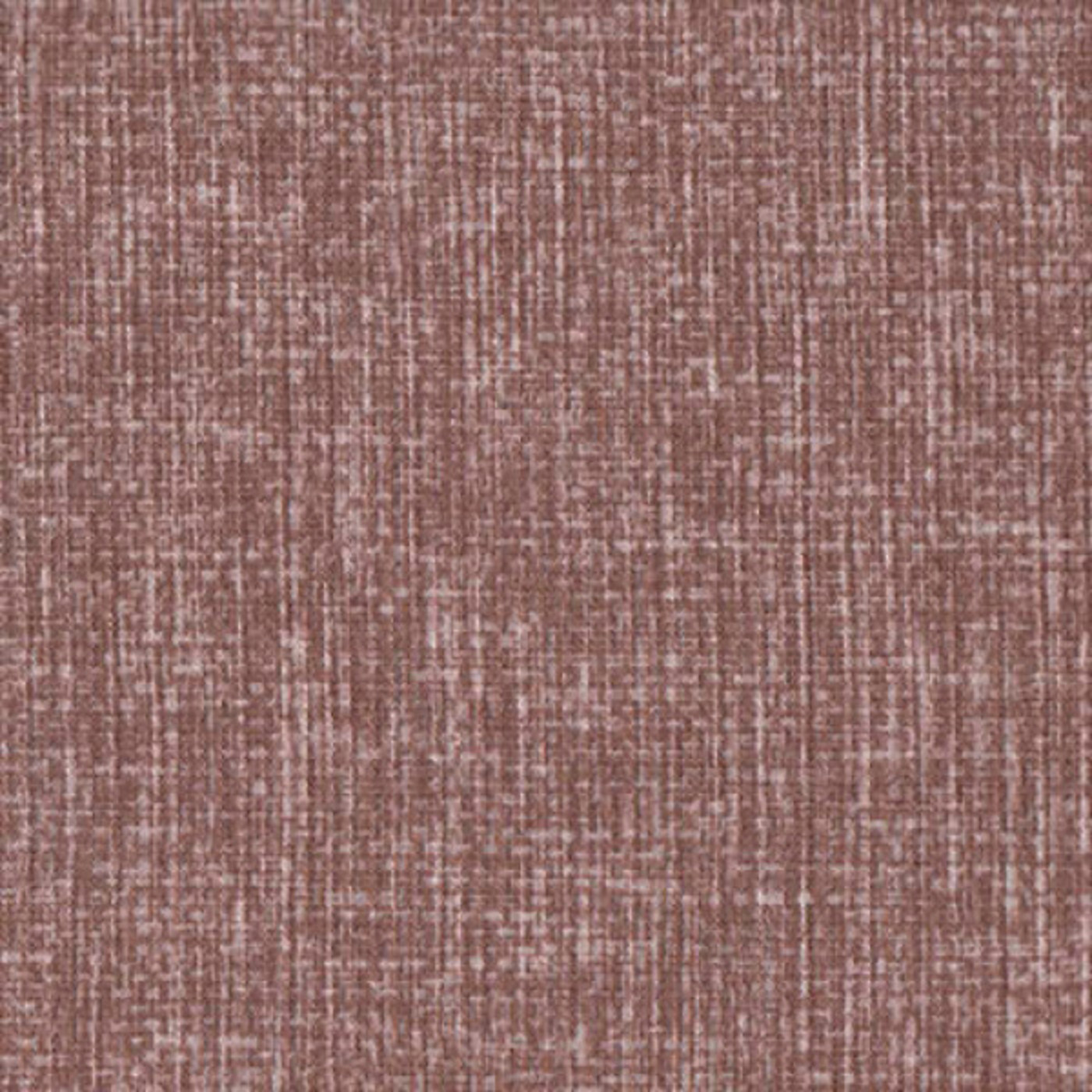 Соло корица