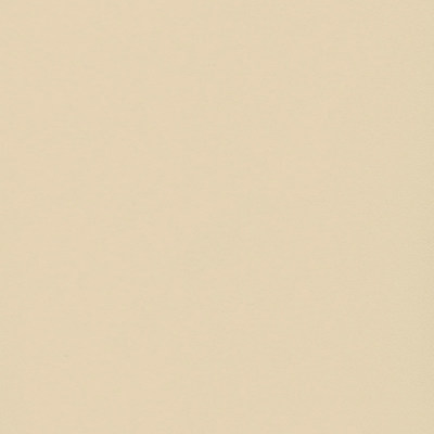 Пленка Фон беж 1227