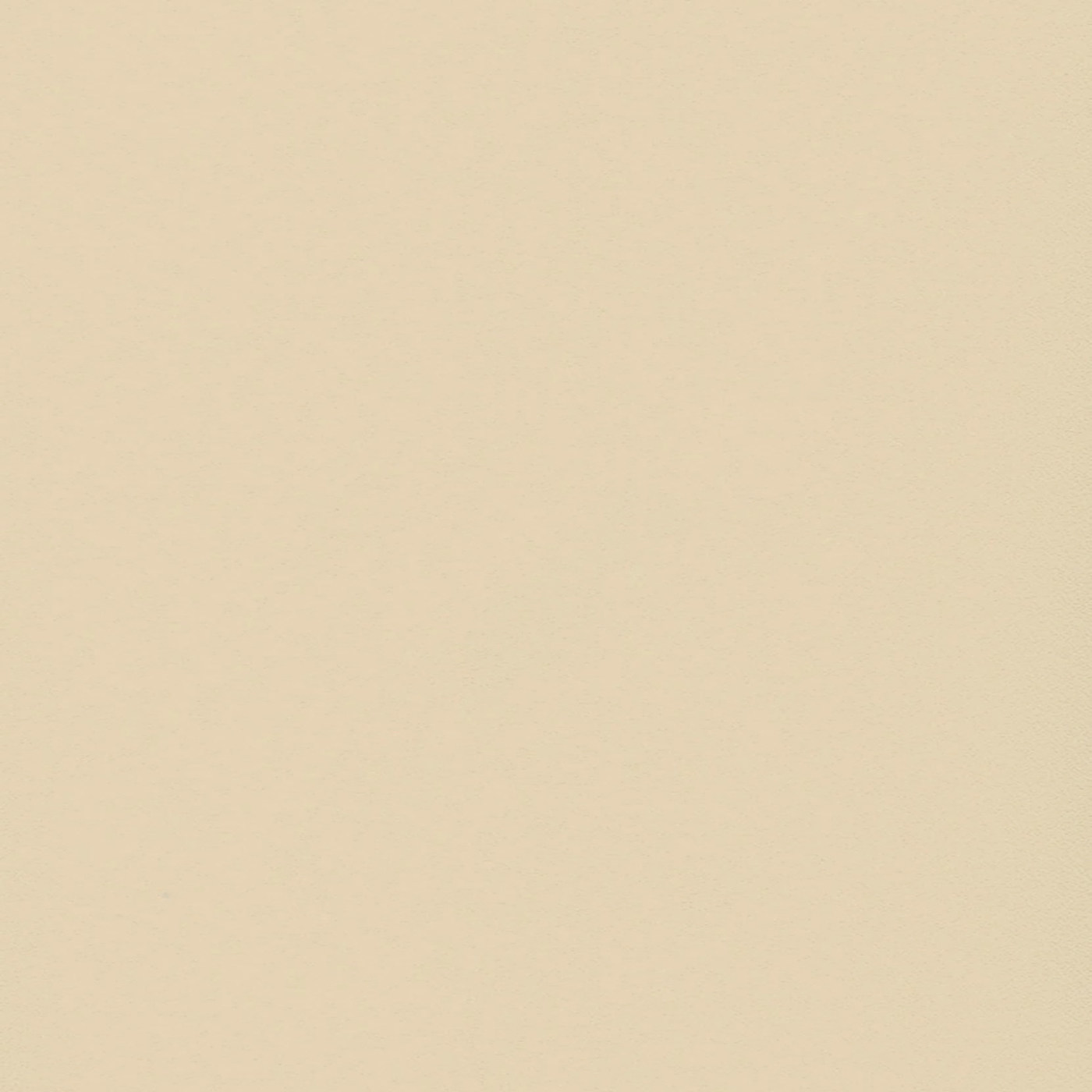 Пленка Фон беж 1227