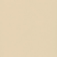 Пленка Фон беж 1227