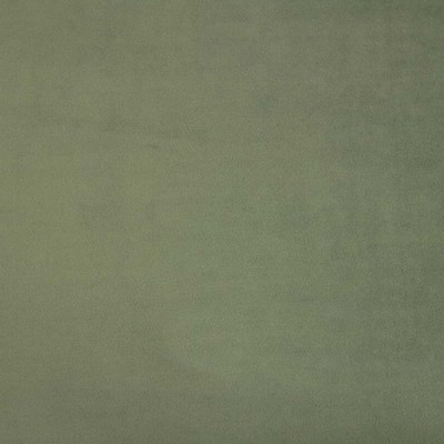 Тюссо 09 (олива)