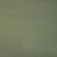 Тюссо 09 (олива)