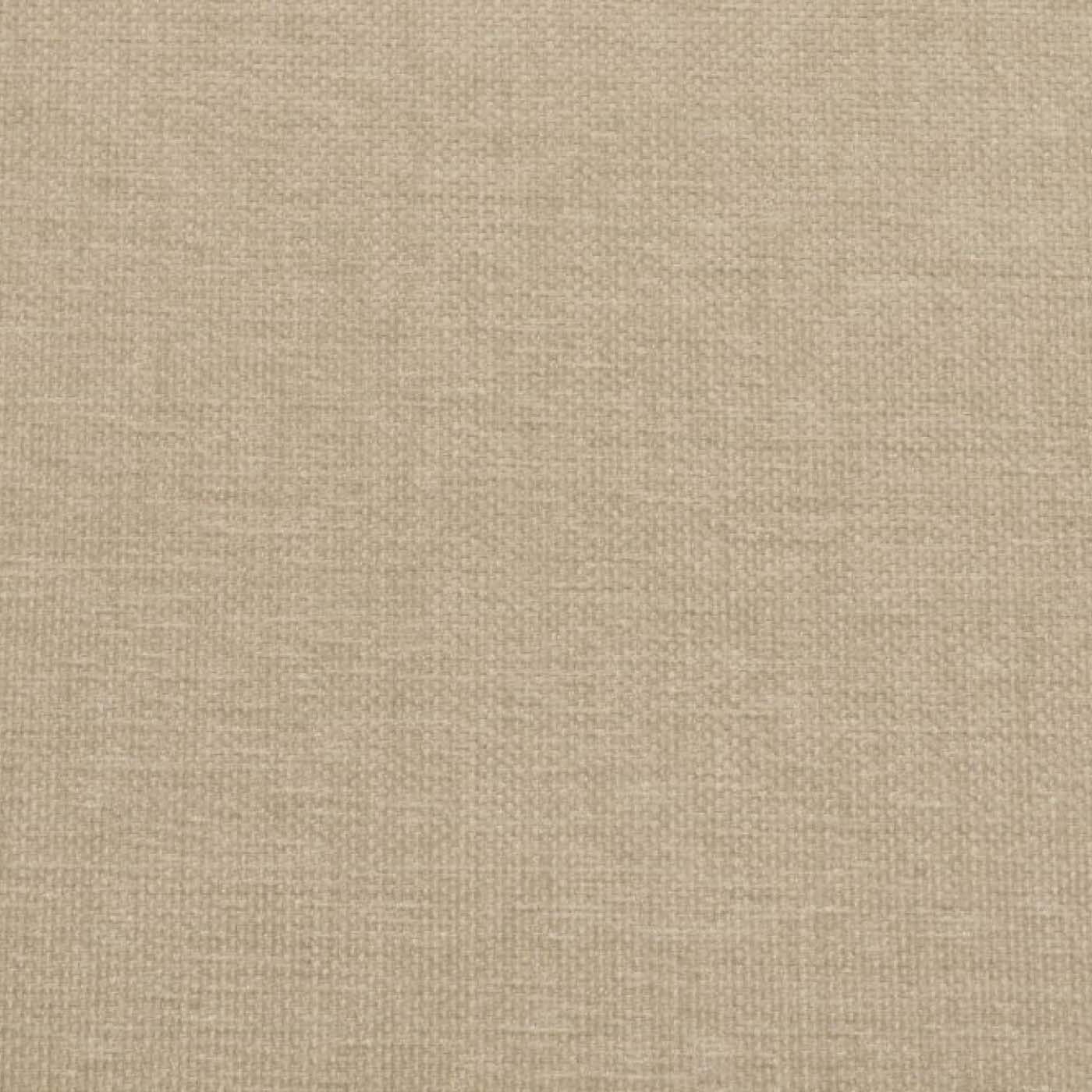 Карэкс 03 (латте)