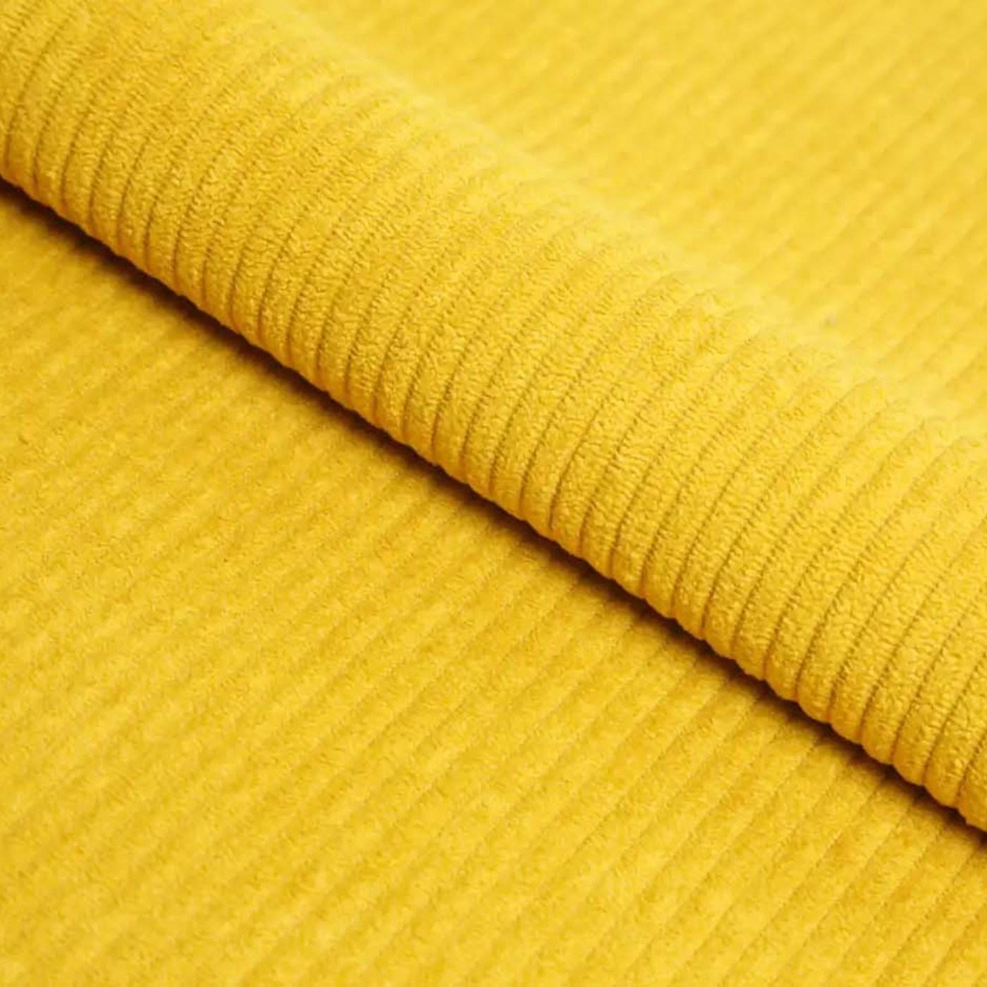 Линия медиа (Linea media) 43