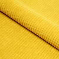 Линия медиа (Linea media) 43