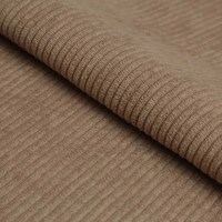 Линия медиа (Linea media) 36