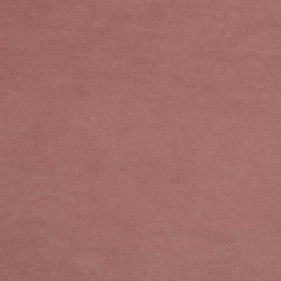 МАССАНДРА 09 (пыльная роза)