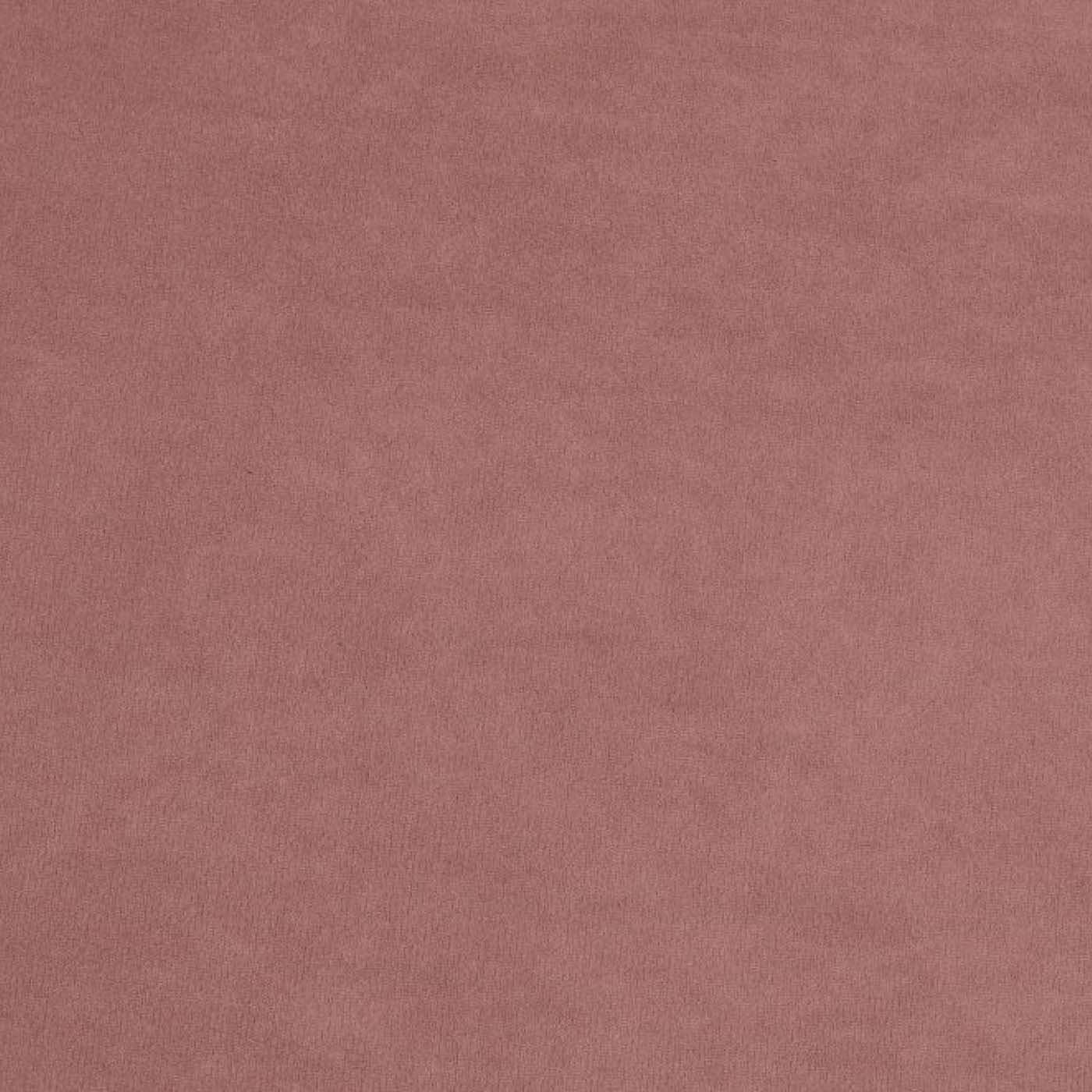 МАССАНДРА 09 (пыльная роза)