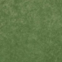 АБРАУ 22 (травяной)