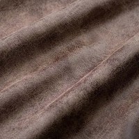 Титан кориза