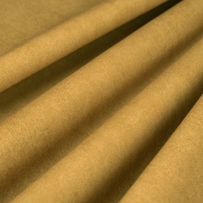 Дюна куркума