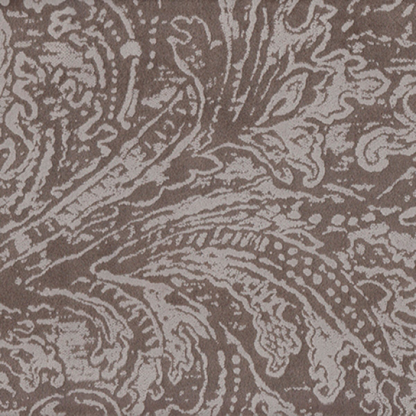 Эмили мокко