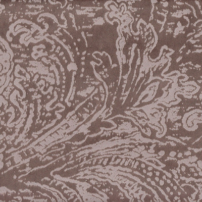 Эмили корица