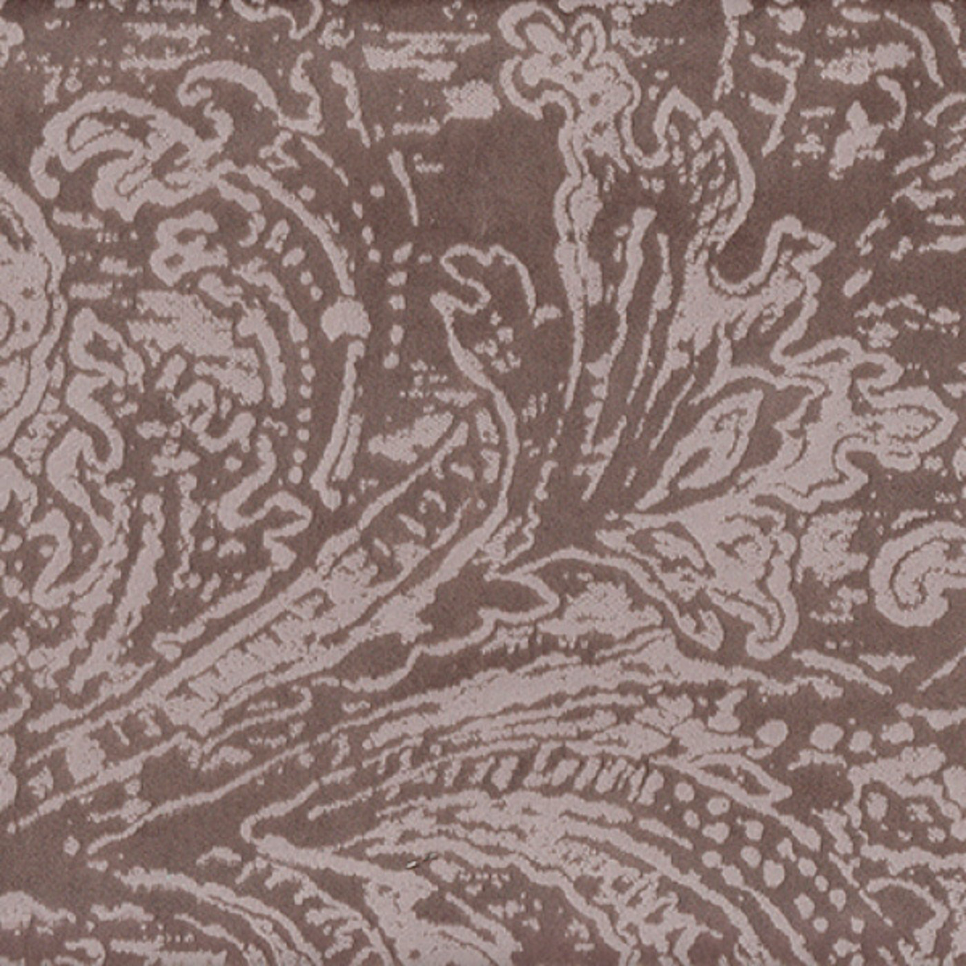 Эмили корица