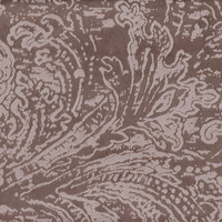 Эмили корица